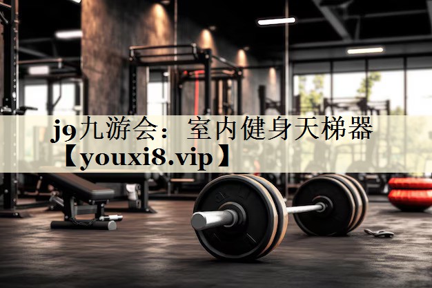 j9九游会：室内健身天梯器
