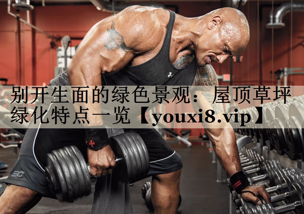 别开生面的绿色景观:屋顶草坪绿化特点一览